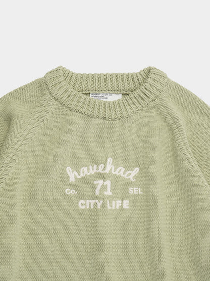 hvhd Classic Logo Sweater (Sage Green)