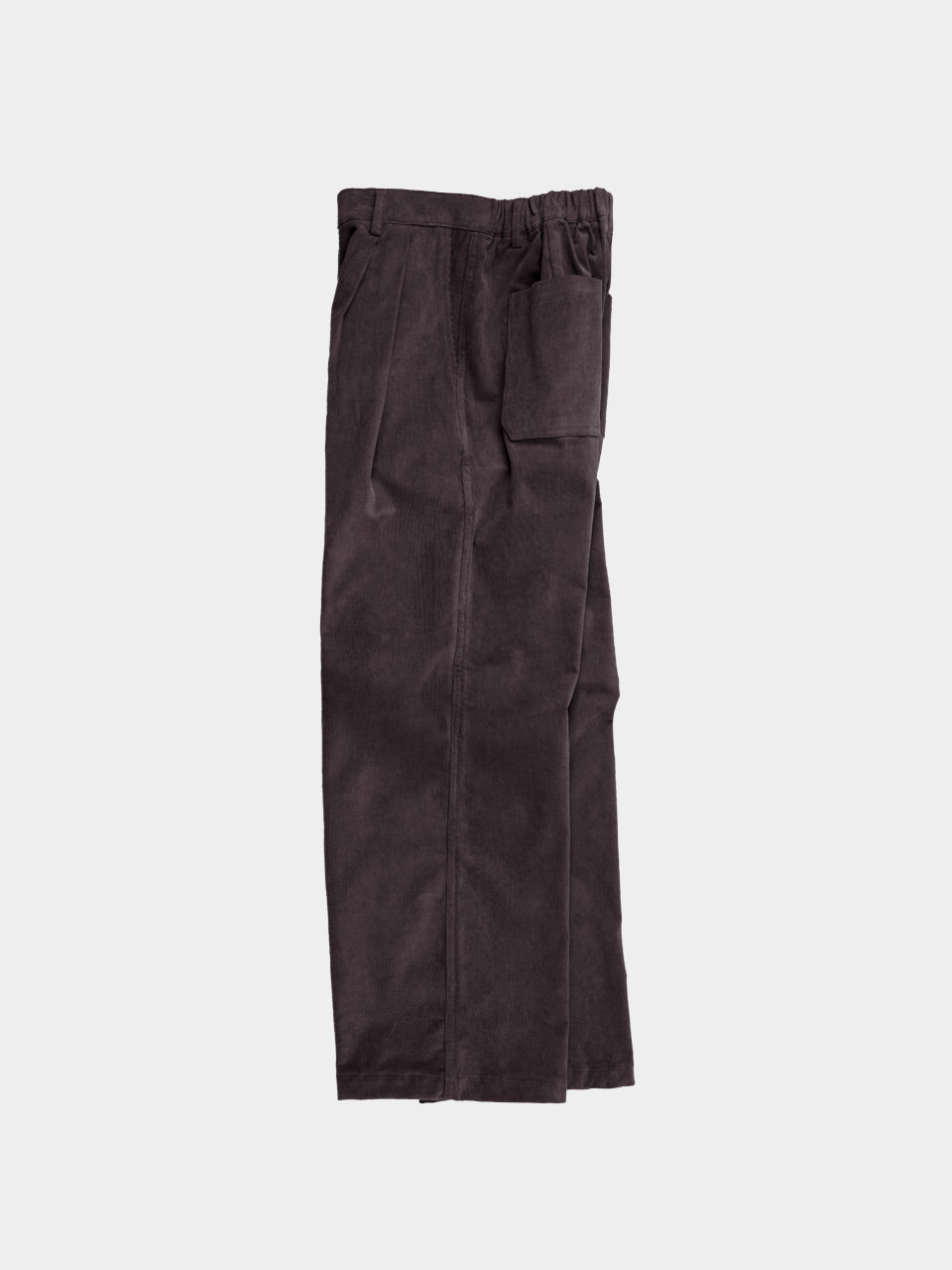 Warm Corduroy Pin-tuck Pants (Chocolate)