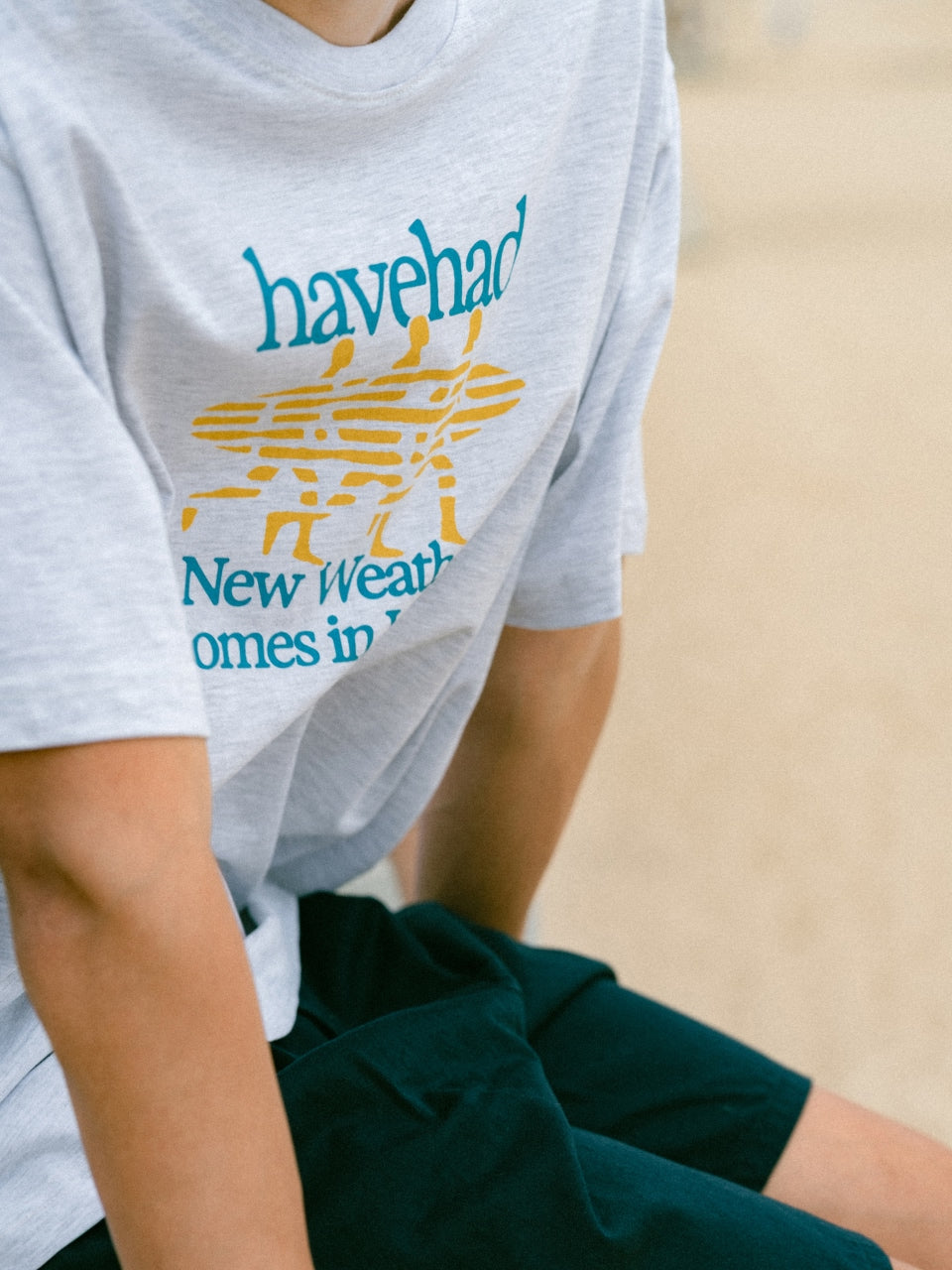 Chasing Waves Tee (Ash)