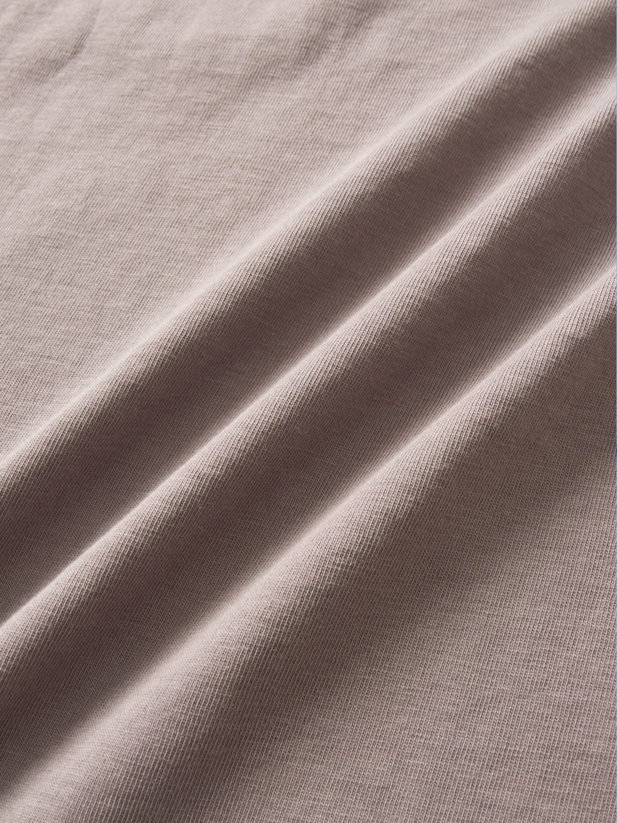 Weather in Waves Tee (Smoky Beige)