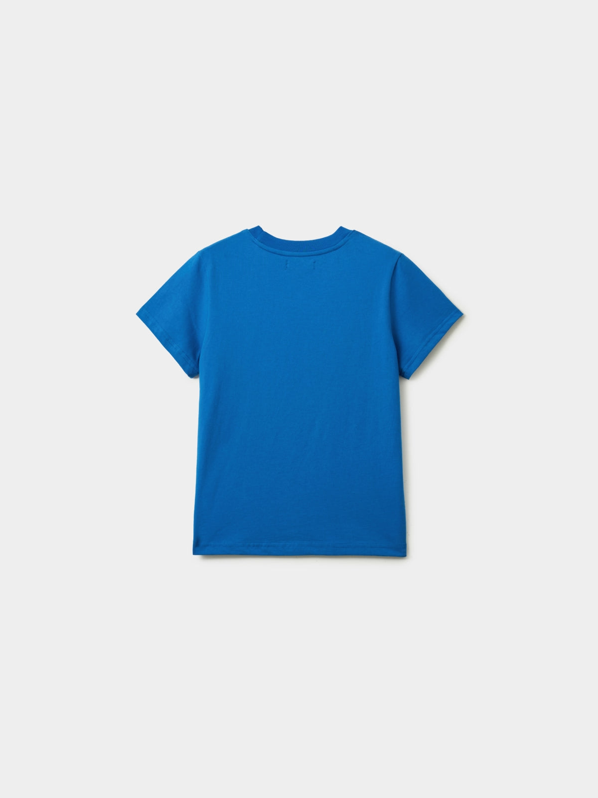 Weather in Waves Tee (Vintage Blue)