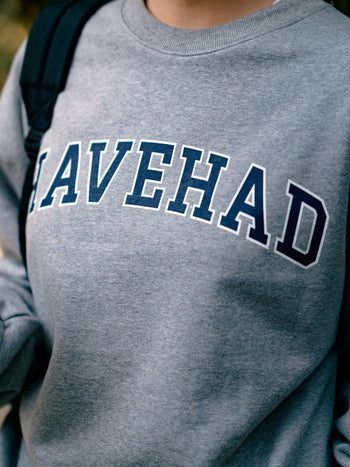 Classic Slab Logo Sweatshirts (Navy)